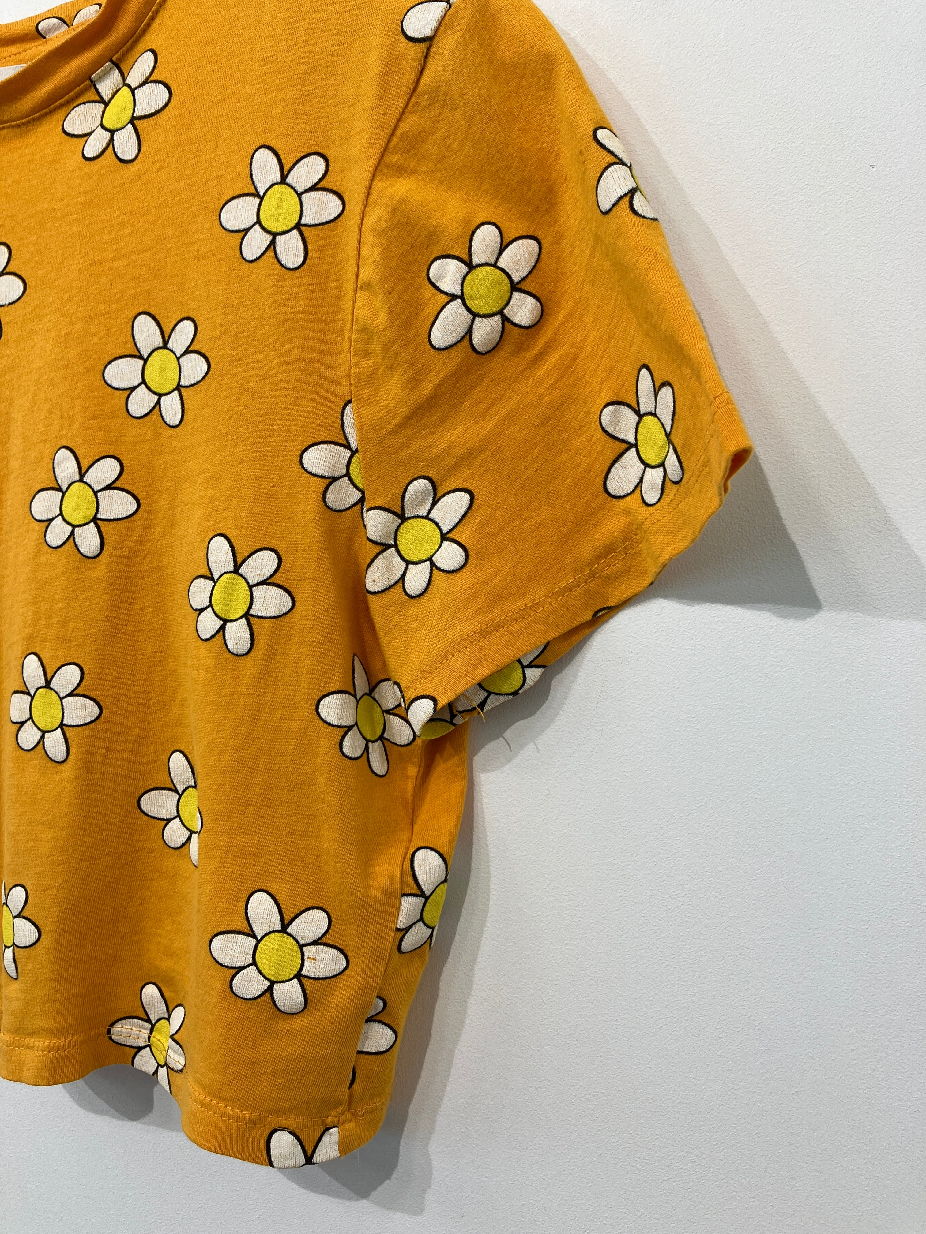 TERRANOVA Top